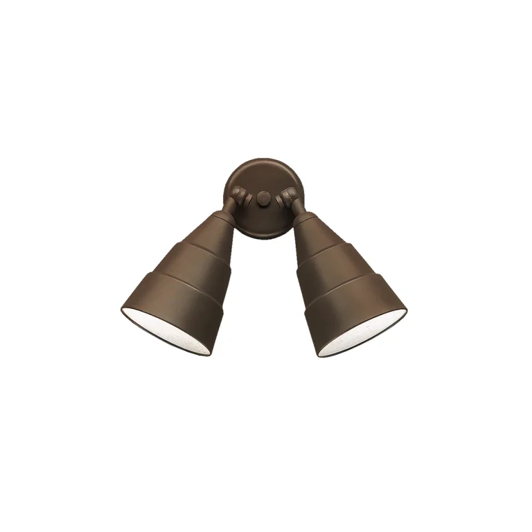 Architectural Bronze Two Light Outdoor Wall Mount