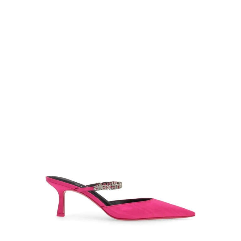 Alexander Wang Delphine 穆勒鞋