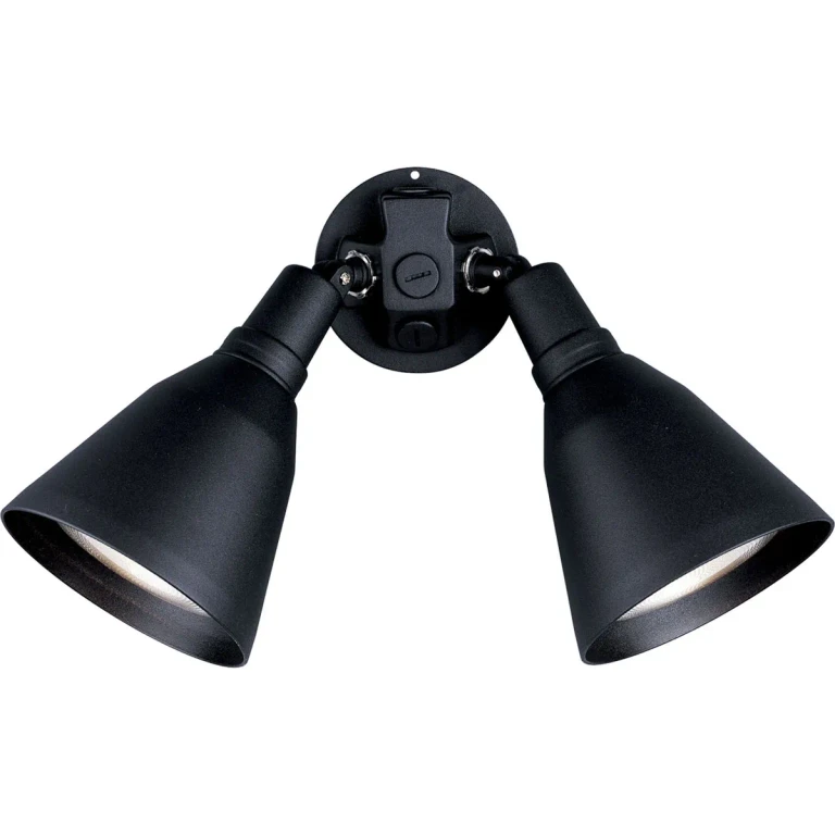 Black Two Light Wall Lantern from the Par Lampholder Collection