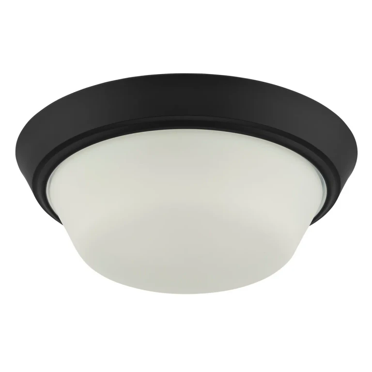 Black LED Flush Mount from the Edessa Collection