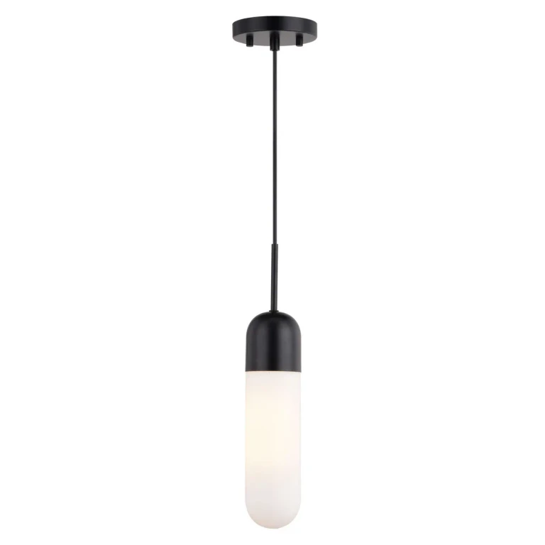 Matte Black Mini Pendant from the Thalia Collection