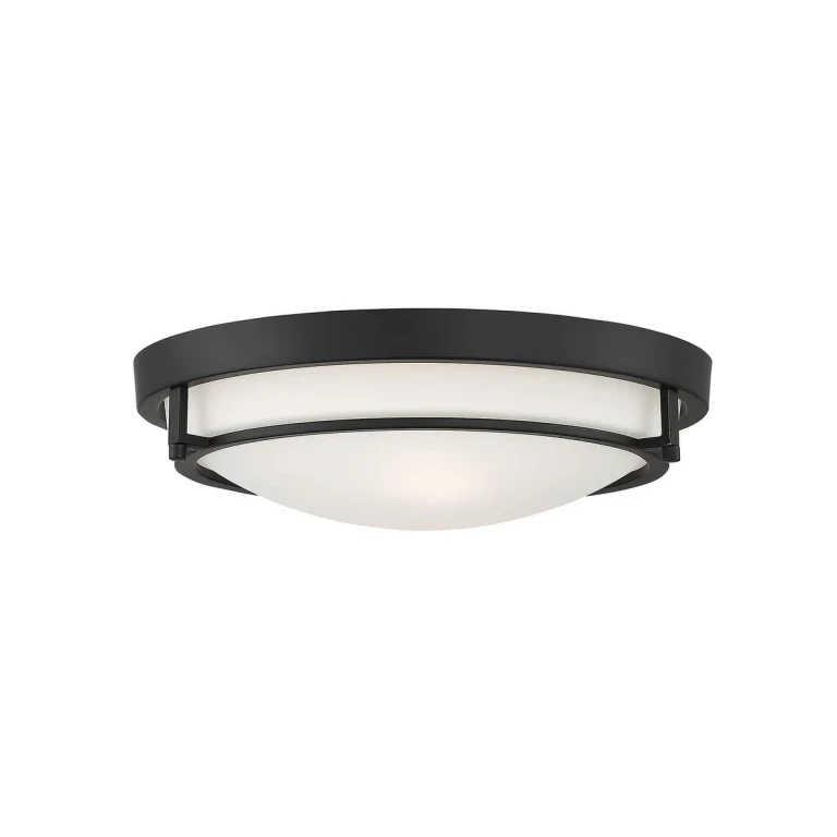 Trade Winds Felton 2-Light Ceiling Light in Matte Black - TW80024-MBK