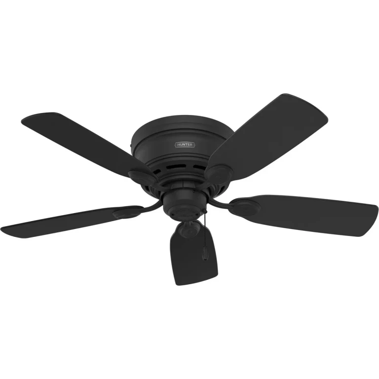Matte Black 42"Ceiling Fan from the Low Profile Collection