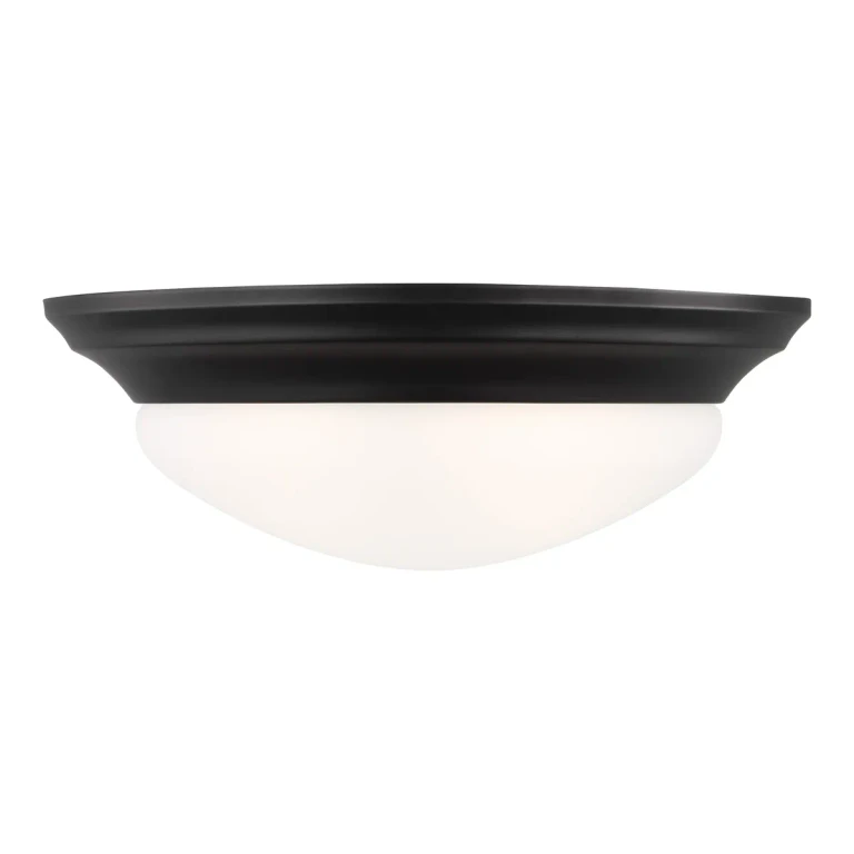 Nash 2-Light Ceiling Light in Midnight Black