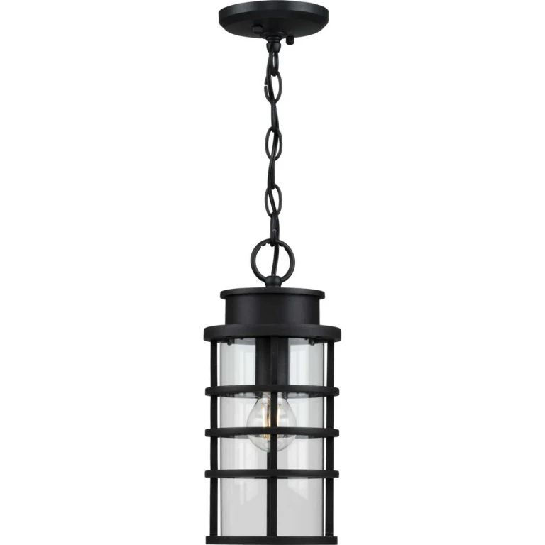 Black One Light Hanging Lantern from the Port Royal Collection