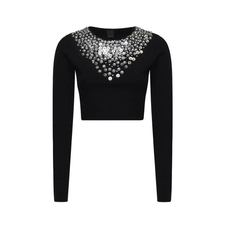 Pinko big Jim Sweater