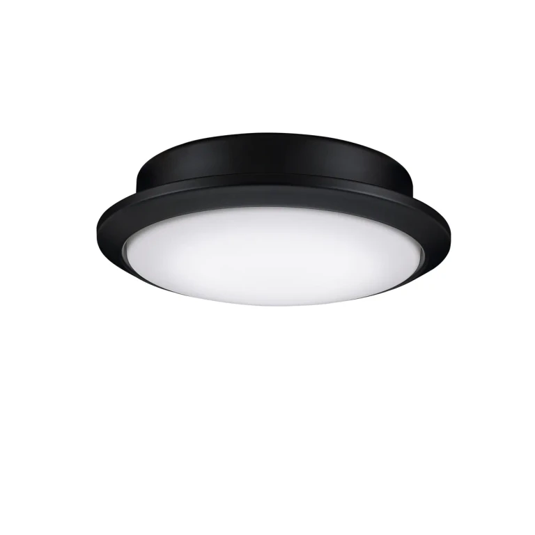 Fanimation Wrap Custom Ceiling Fan Light Kit in Black