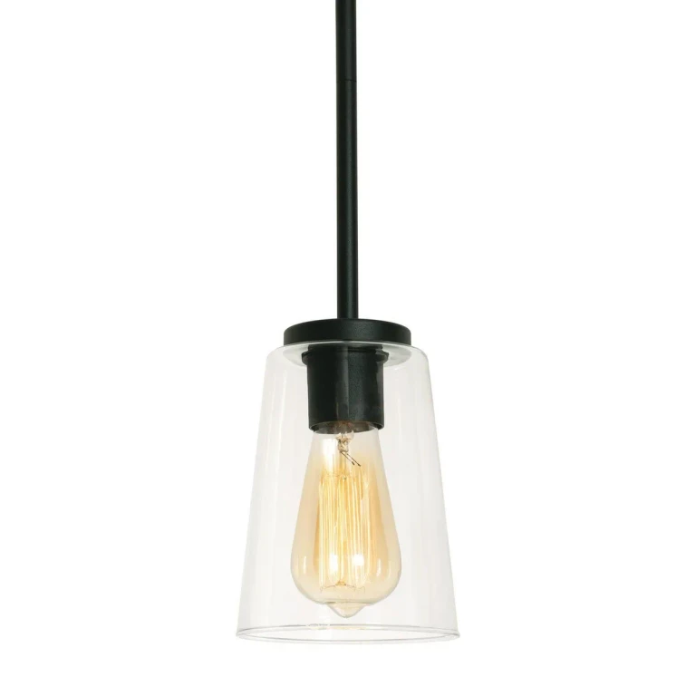 Joanna 1-Light Pendant in Textured Black