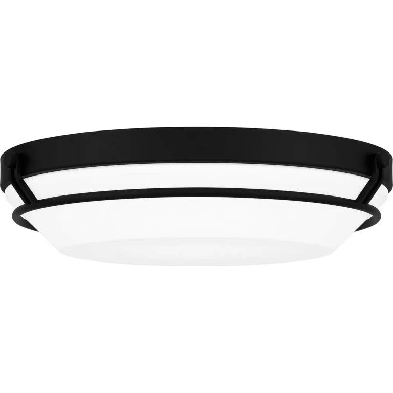 Matte Black LED Flush Mount from the Dunbar Collection