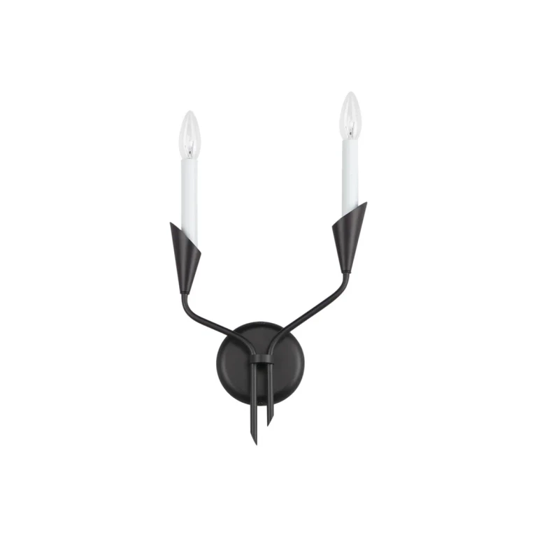 Black Two Light Wall Sconce from the Calyx Collection