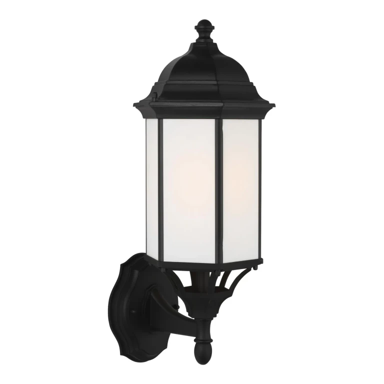 Sevier Outdoor Wall Light in Black