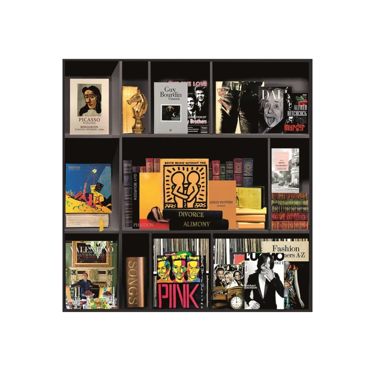 Bookshelf Plexiglass Artwork | Andrew Martin Story of My Life Part 1