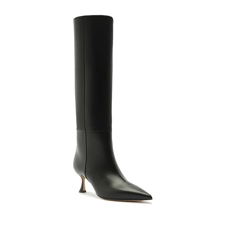 Alexandre Birman Women's Brena Boots