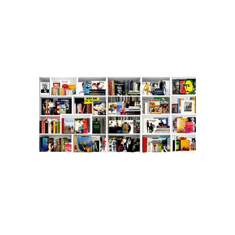 Rectangular Shelves Art Print | Andrew Martin Music Books 2