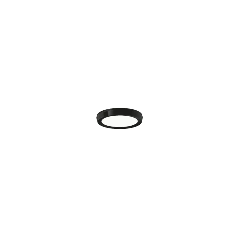 Modern Forms Argo Ceiling Light in Black