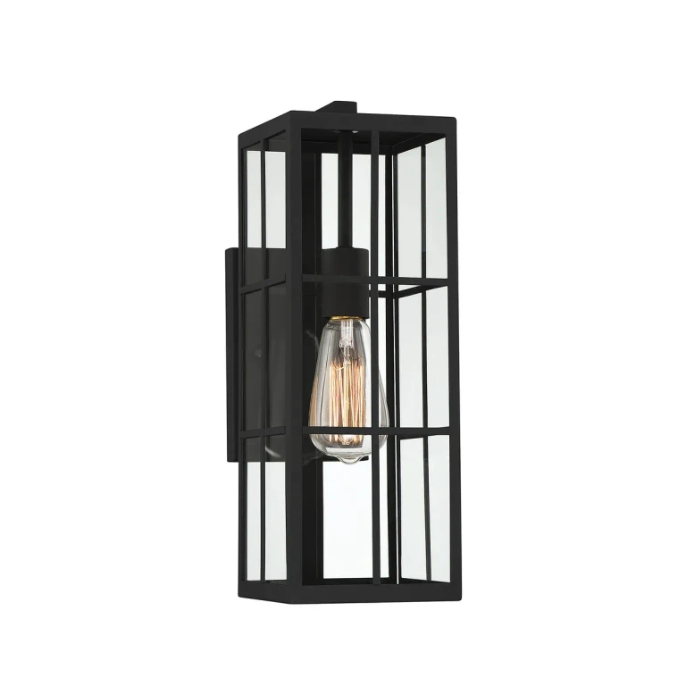 Ericson 1-Light Outdoor Wall Lantern in Matte Black