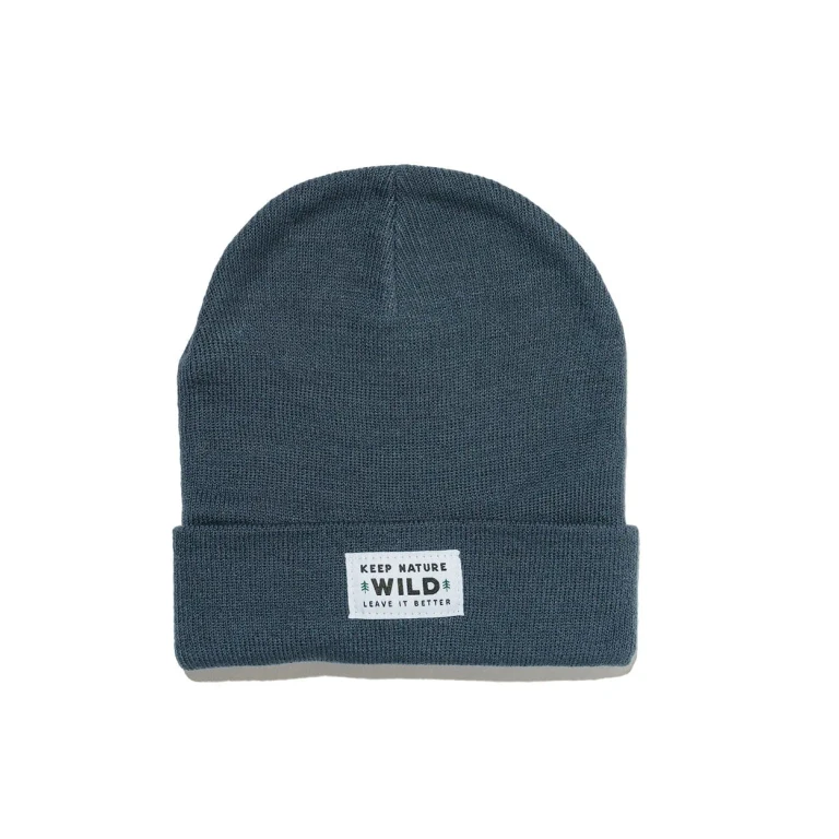 Twin Pines Cuffed Beanie | Slate