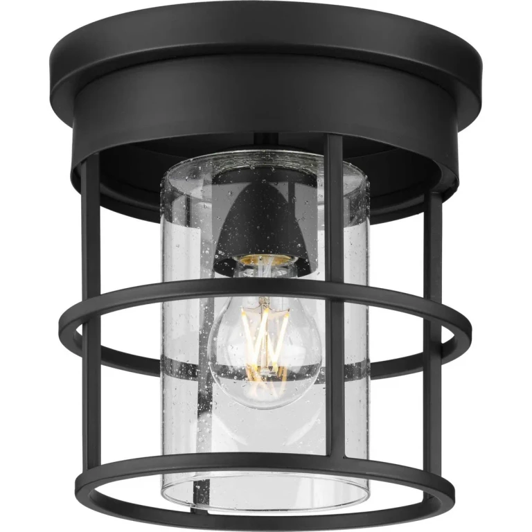 Matte Black One Light Flush Mount from the Burgess Collection