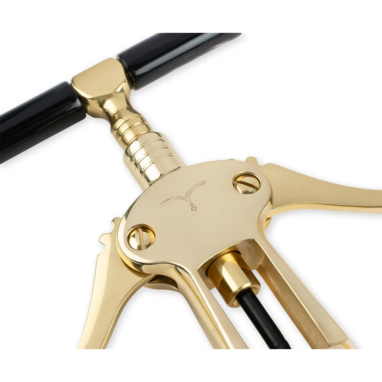 Larusmiani Corkscrew Barbaresco Yellow - Unisex