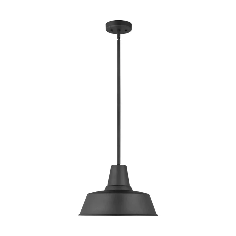 Barn Light Outdoor Hanging Light in Black