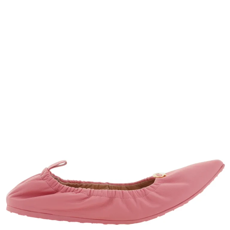 Gianvito Rossi Camellia Alina Ballerina Shoe