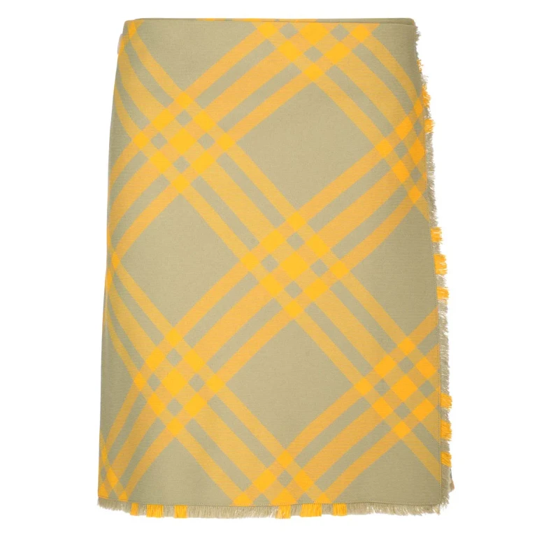 Burberry Embroidered Silk Skirt