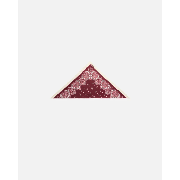 Pinko - Foulard triangle à imprimé paisley fleuri