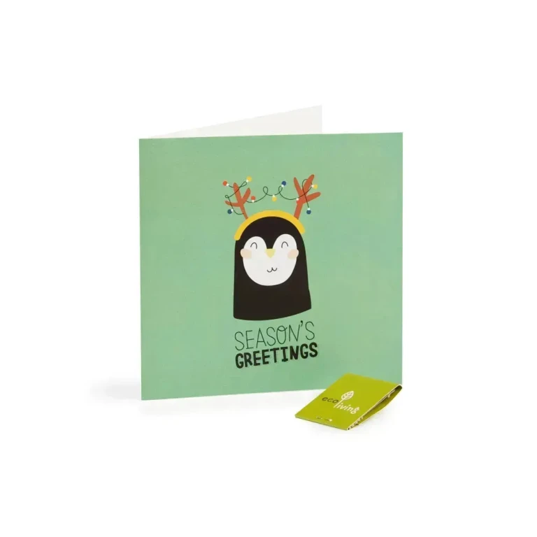 Recycled Christmas Cards - Cute Animal Cards (FSC 100%)