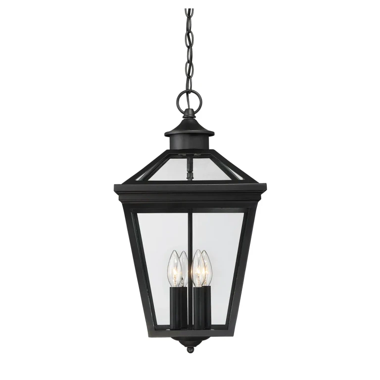 Savoy House Ellijay Steel Hanging Lantern in Black - 5-145-BK