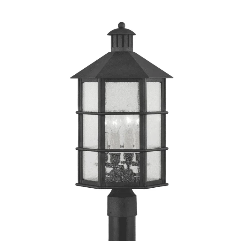 Troy Lake County 4-Light Outdoor Post Light in French Iron