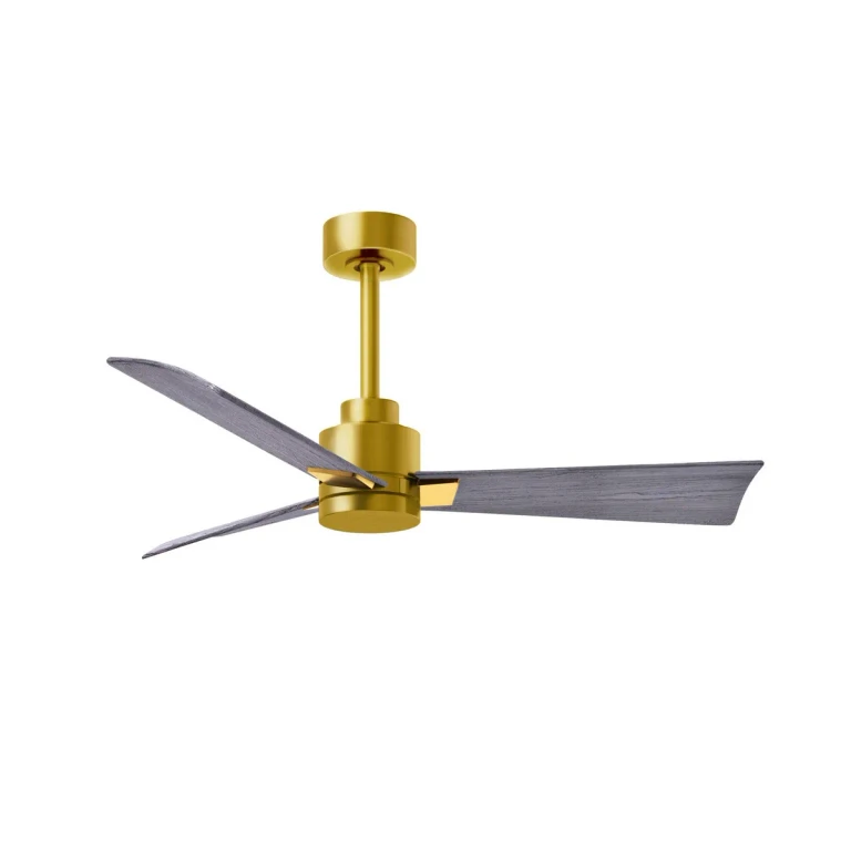 Brushed Brass 42" Ceiling Fan from the Alessandra Collection