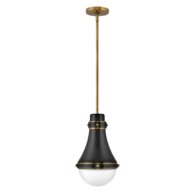 Black LED Pendant from the Oliver Collection