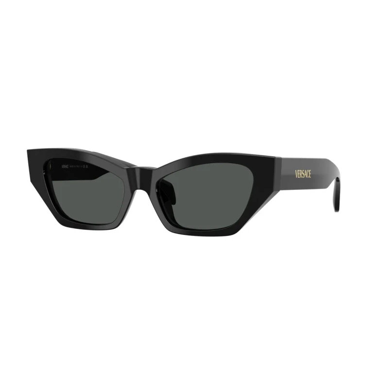 Versace Grey Cat Eye Ladies Sunglasses VE4488U GB1/87 53