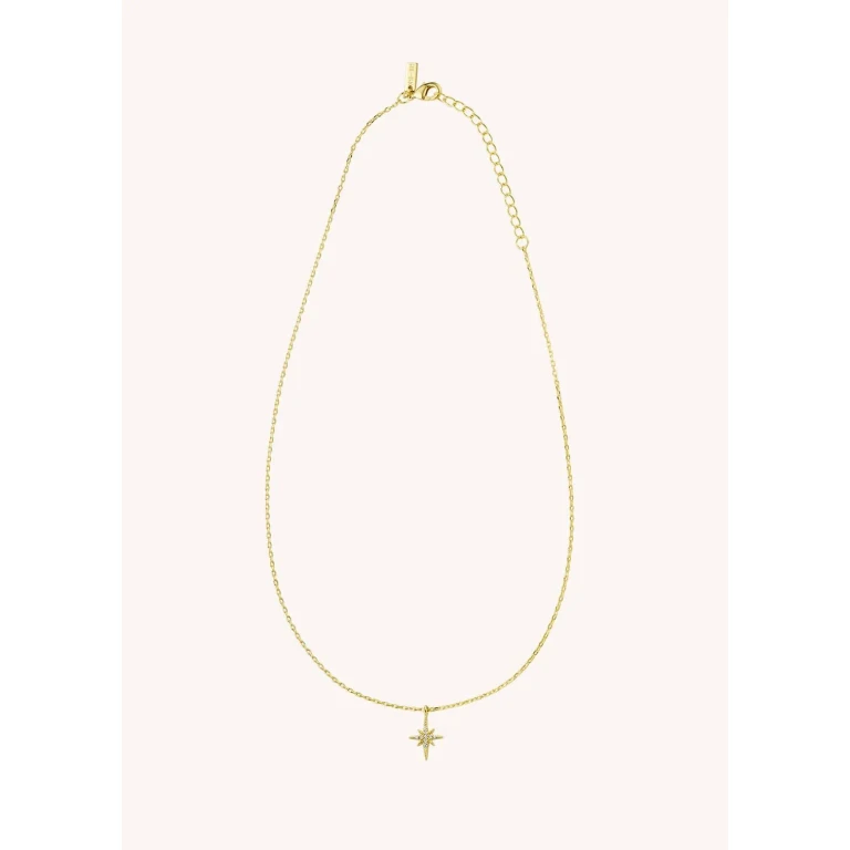 Necklace Co-116g Gold