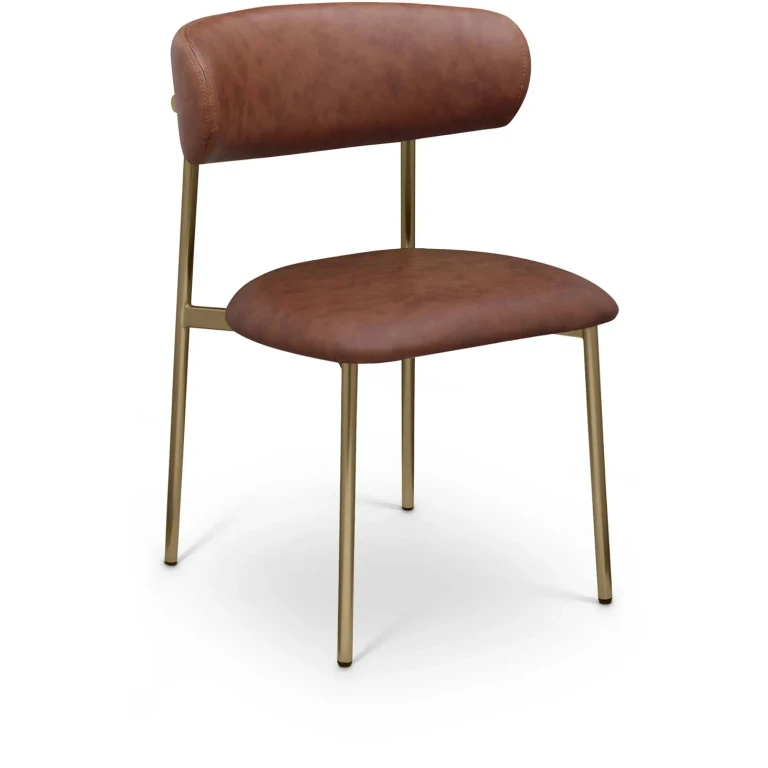 Lupita Brown and Gold Dining Chair, Set of 2