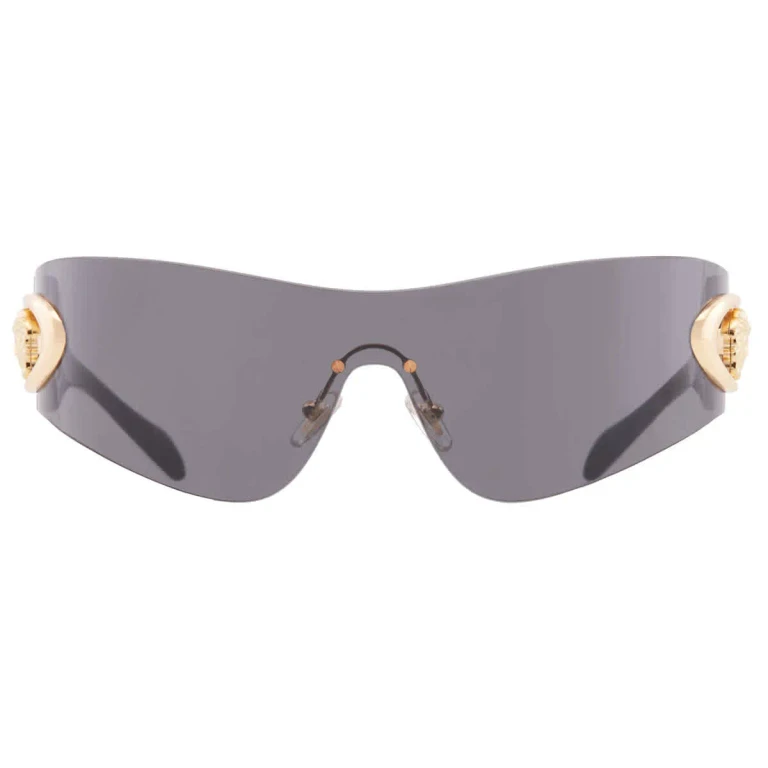 Versace Dark Grey Shield Mens Sunglasses VE2280 100287 42