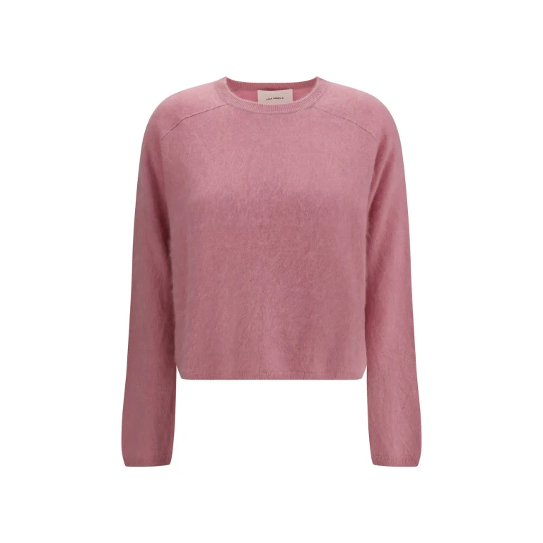 Sweater Woman color Pink (2025374JD)
