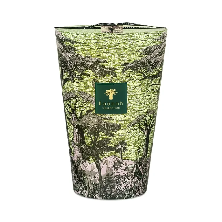 Baobab Collection Max 35 Sacred Trees Touba Candle, 229.12 oz.