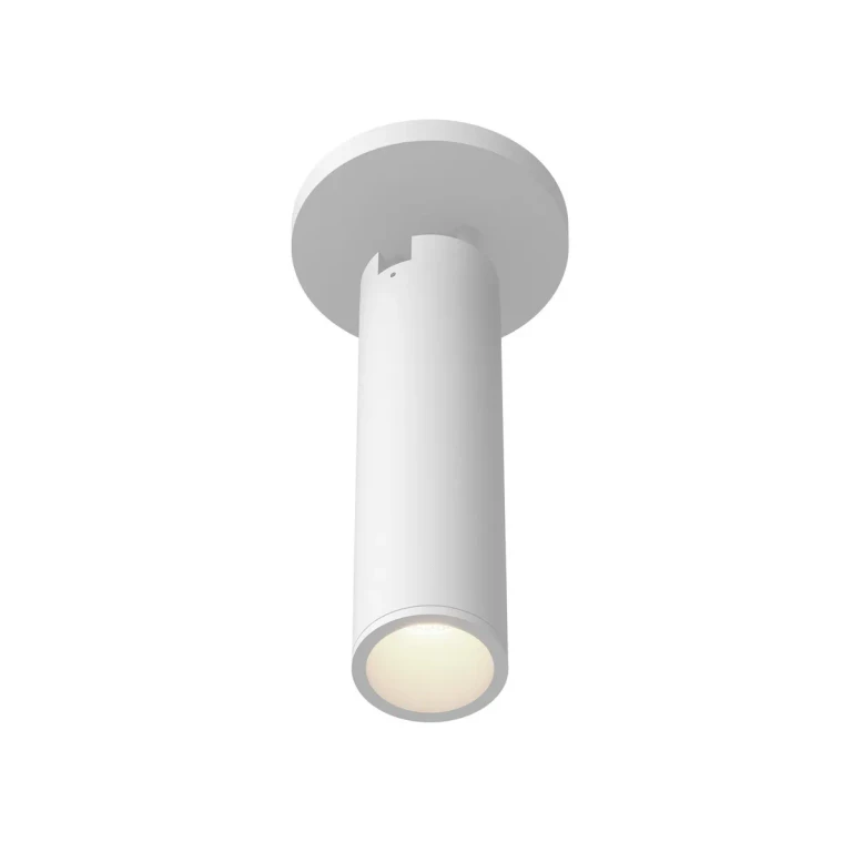 White LED Ceiling Mount from the Lorna Collection