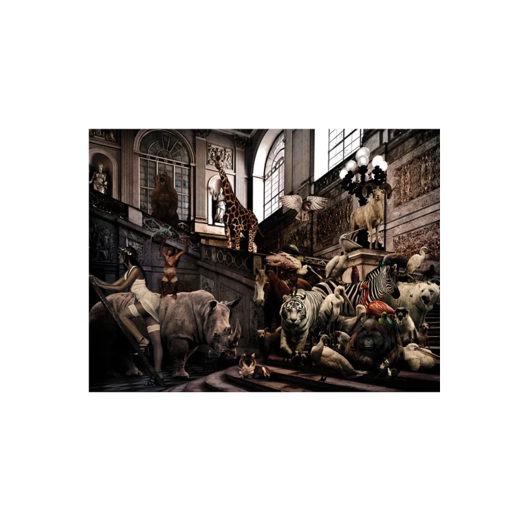 Wild Animals Photographic Artwork | Andrew Martin City Jungle