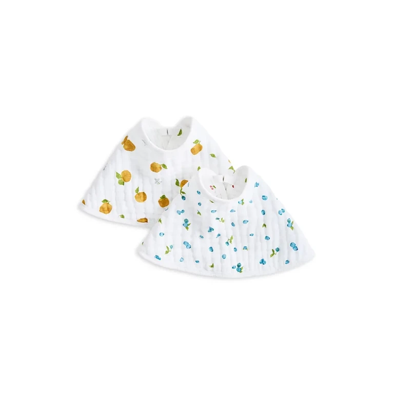 Aden and Anais Unisex Fresh Fruit Muslin Burpy Bibs, 2 Pack