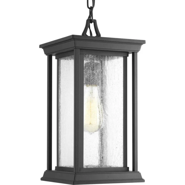 Black One Light Hanging Lantern from the Endicott Collection