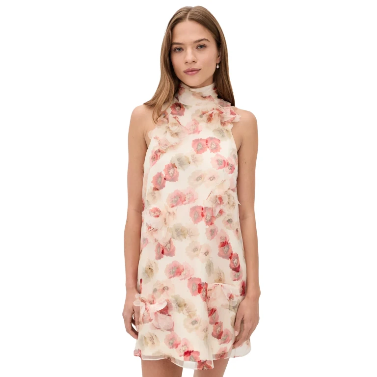 Cinq à Sept Floating Poppies Sylvia Dress gardenia multi 0