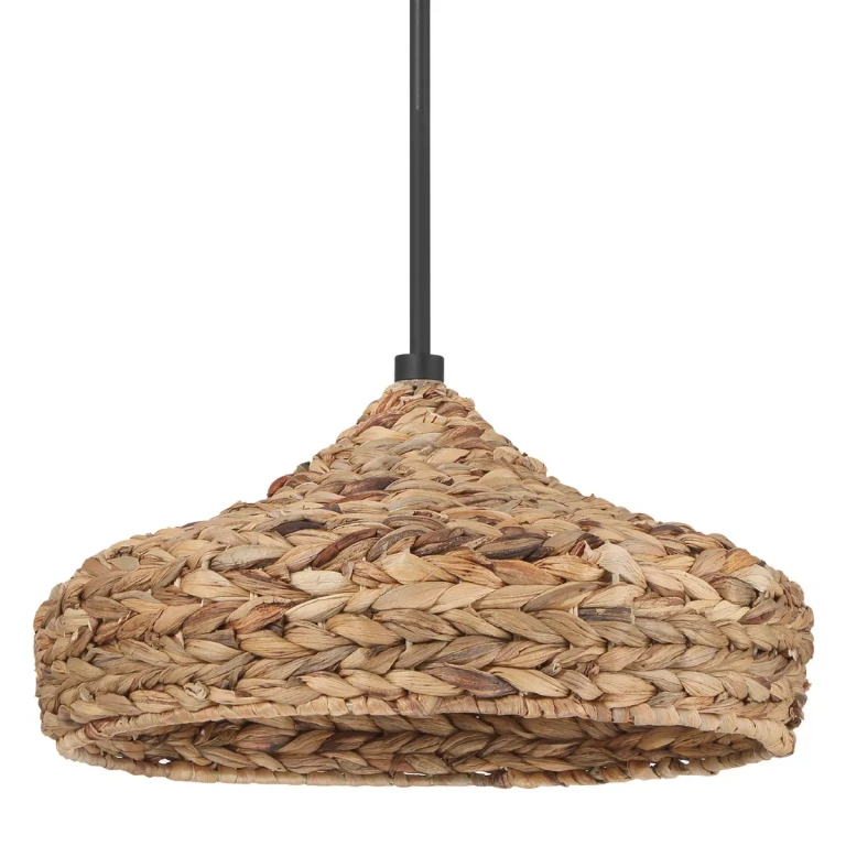 Matte Black Pendant from the Cambria Collection