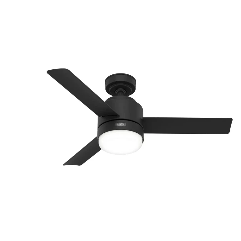 Matte Black 44"Ceiling Fan from the Gilmour Collection
