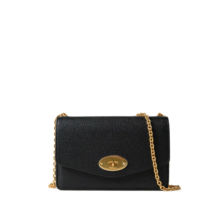 Mulberry Pochette - Darley S