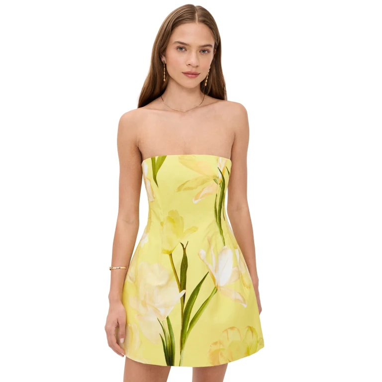 Cara Cara Ines Mini Dress Lillian Lemon 12