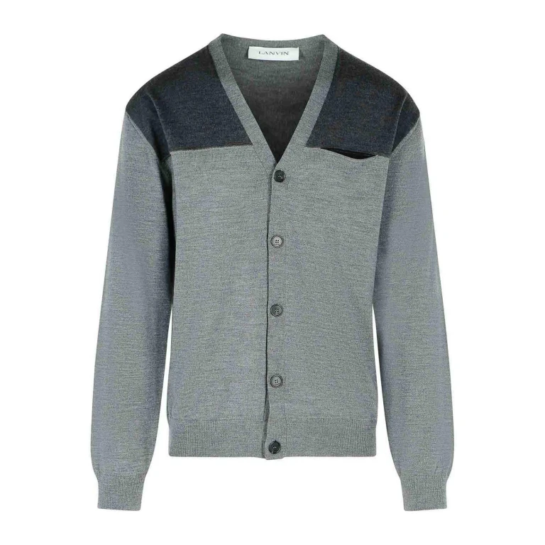 Lanvin Cardigan - Gris