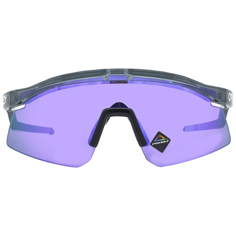 Hydra Prizm Violet Shield Sonnenbrille