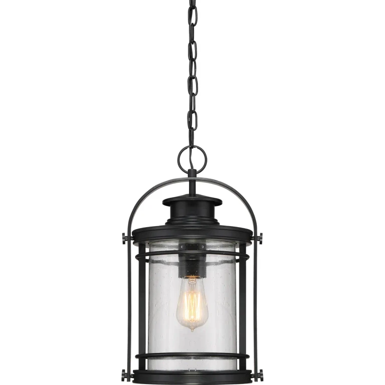 Booker 1-Light Outdoor Hanging Lantern in Mystic Black
